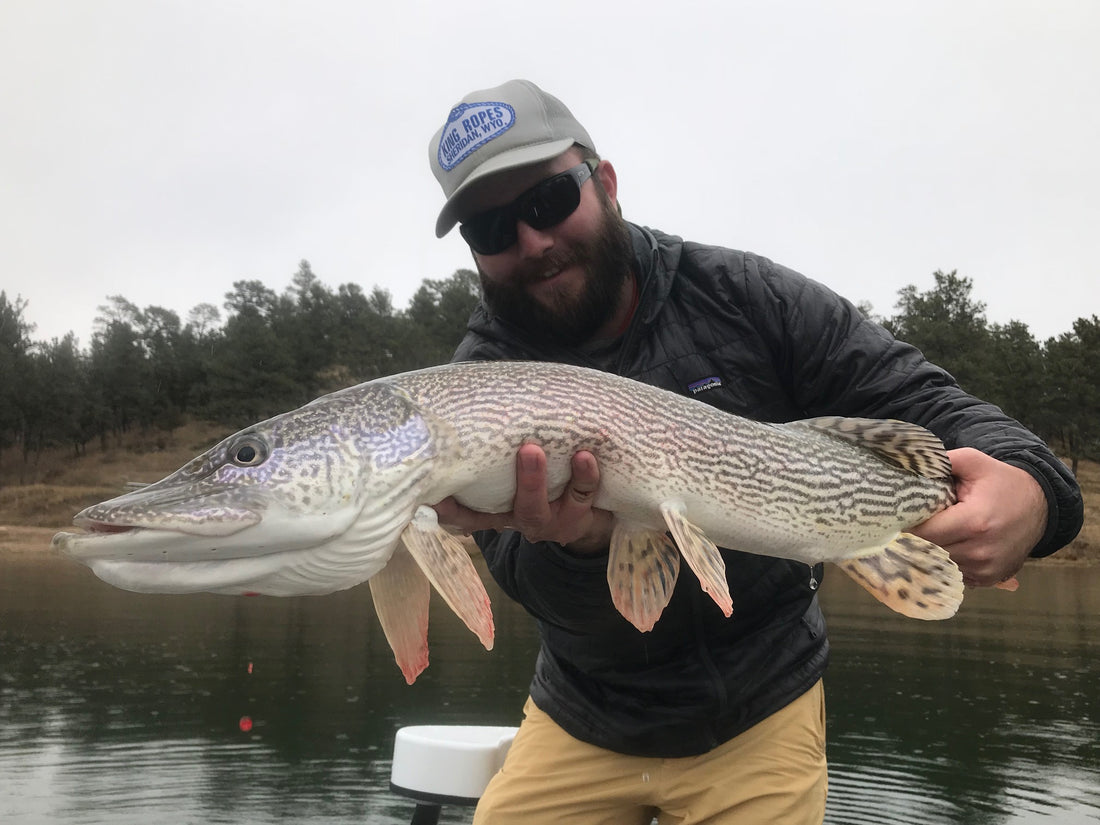 Black Hills Fishing Report - 11/5/2018