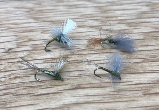 Spring BWO Hatches