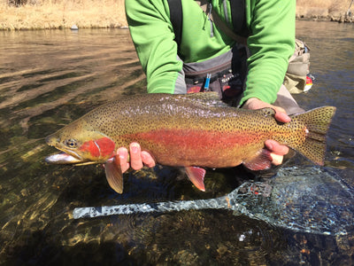 Black Hills Fishing Report April 9 2015