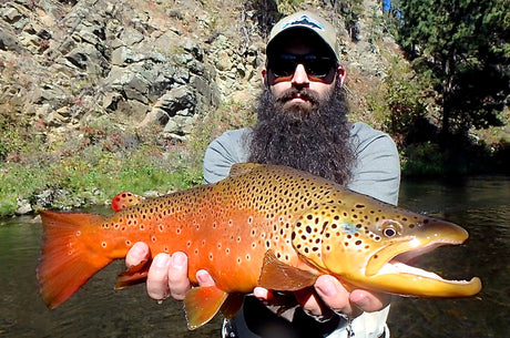 Black Hills Fly Fishing Report - 9/22/2015