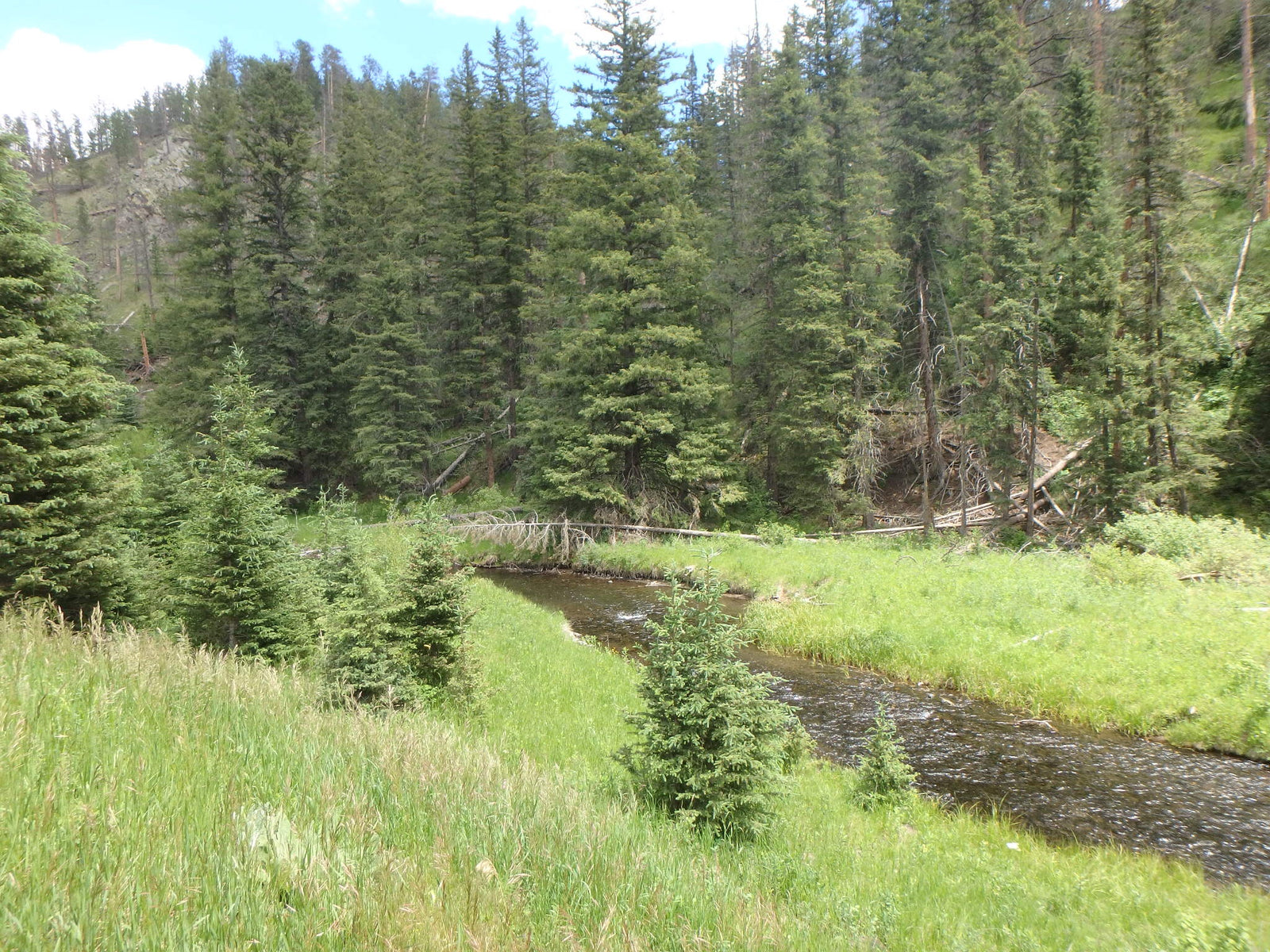 Black Hills Fishing Report Trout Fishing