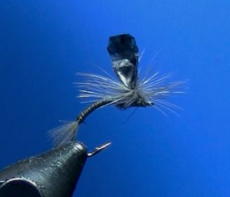 Tying Dave's M-Wing Emerger