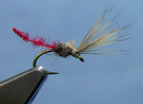 palomino midge fly tying