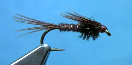 pheasant tail nymph