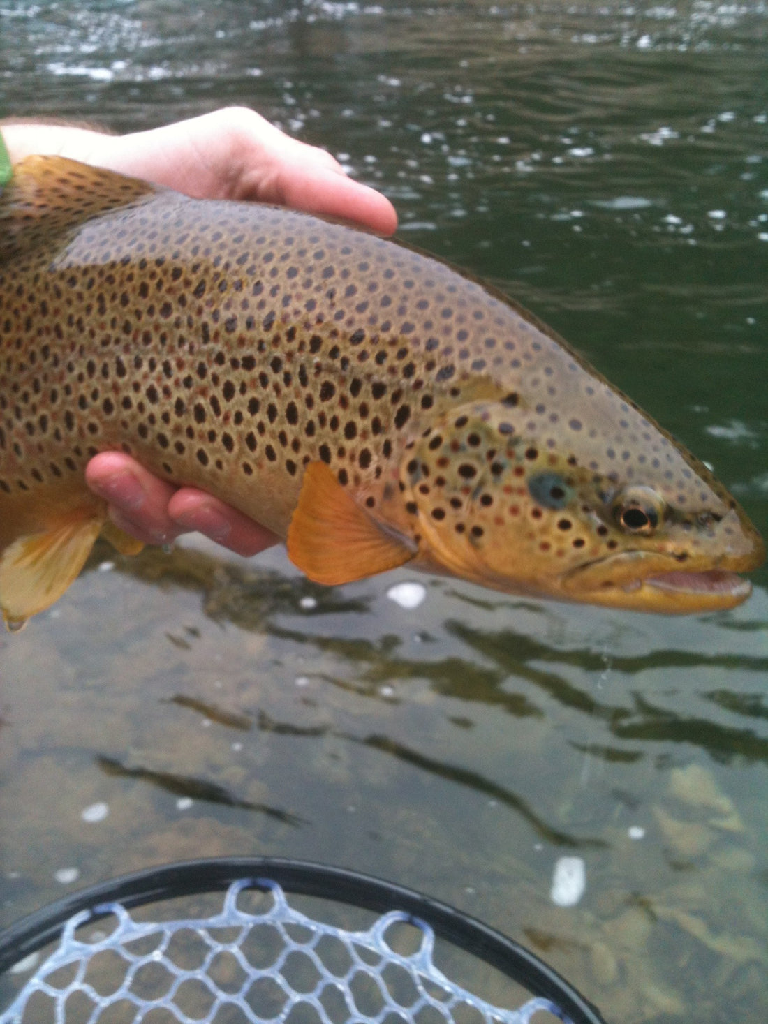 High Water Fishing Techniques!