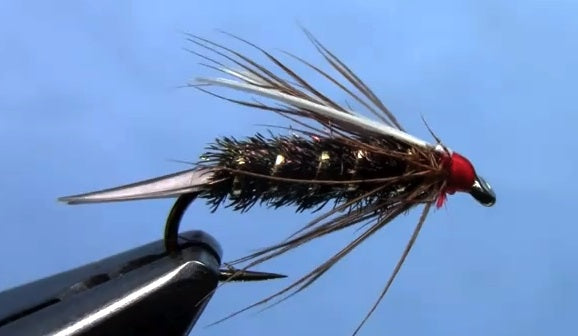 prince nymph fly pattern