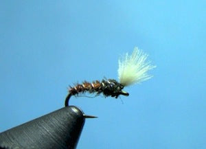 Tying the Pheasant Tail Midge Pupa