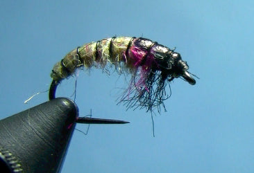 Tying the Rainbow Czech Nymph