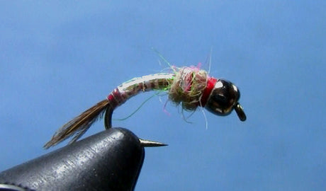 Tying Lance Egan's Rainbow Warrior