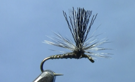 Midge Patterns Video- Sipper Midge