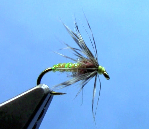 soft hackle fly