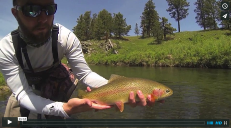 the basin black hills fly fishing video