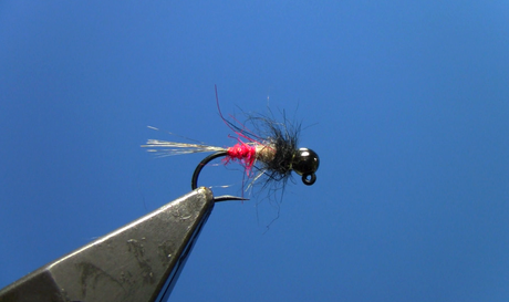 tungsten jig red butt nymph