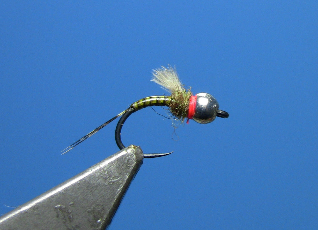 tungsten quill emerging nymph