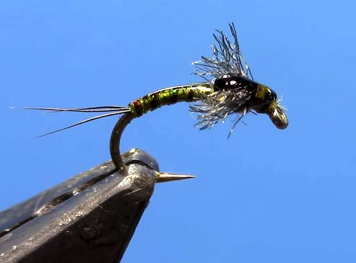 veevus body quill baetis nymph fly tying video