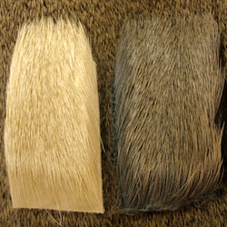 Elk Hair - Fly Tying Material