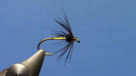 Starling & Olive Soft Hackle Materials