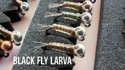 Black Fly Larva Jig Nymph Materials