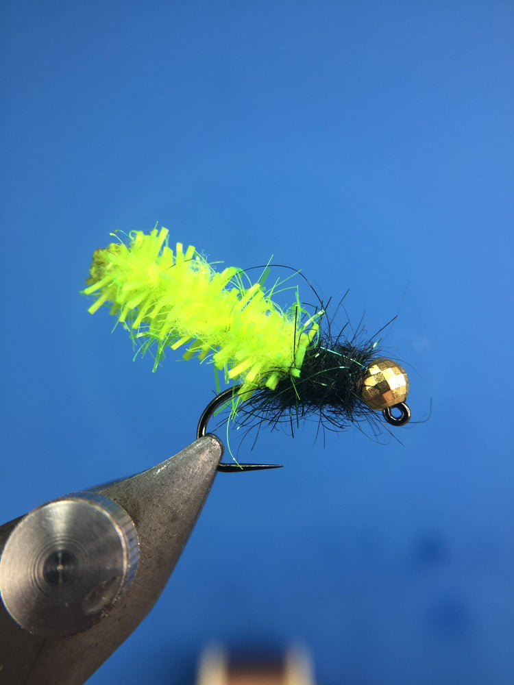 Mr. Wigglesworth Mop Fly