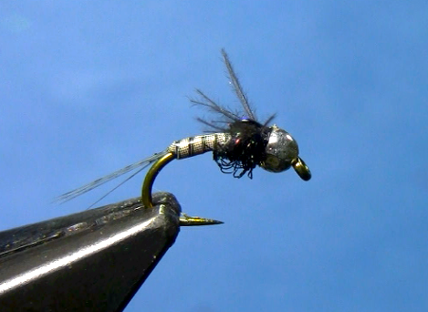 Quill Body Nymph