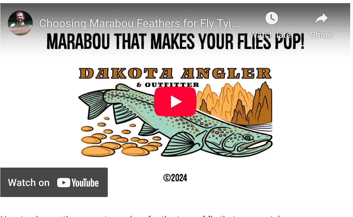 Choosing Marabou for Fly Tying