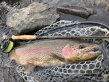 Euro Nymphing