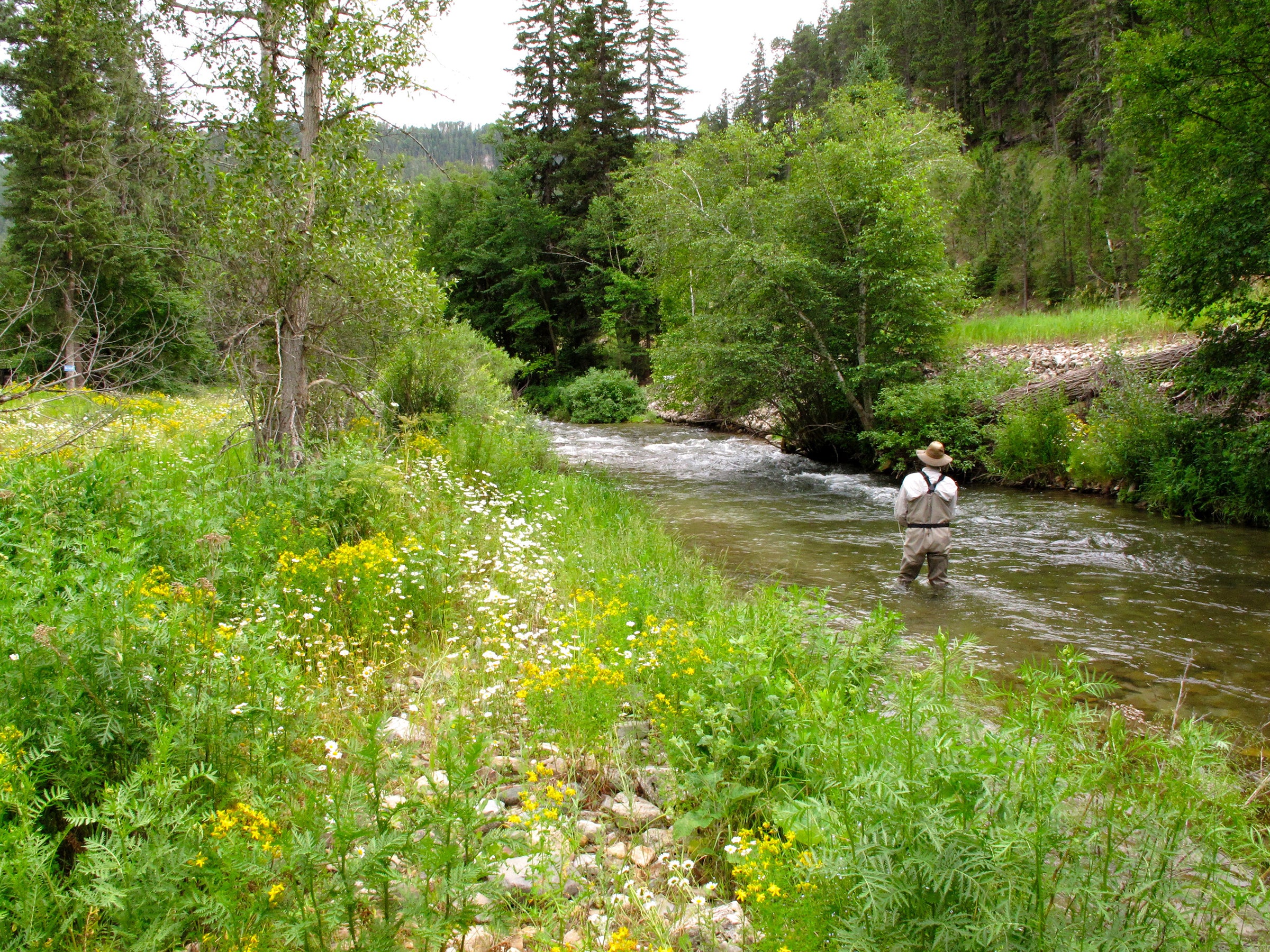 About Us - Dakota Angler & Outfitter - Full Service Fly Fishing Shop