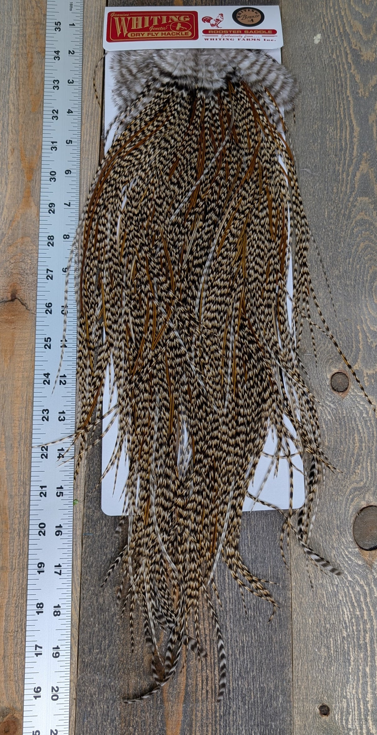 Whiting Bronze Grade Saddle Cree #21