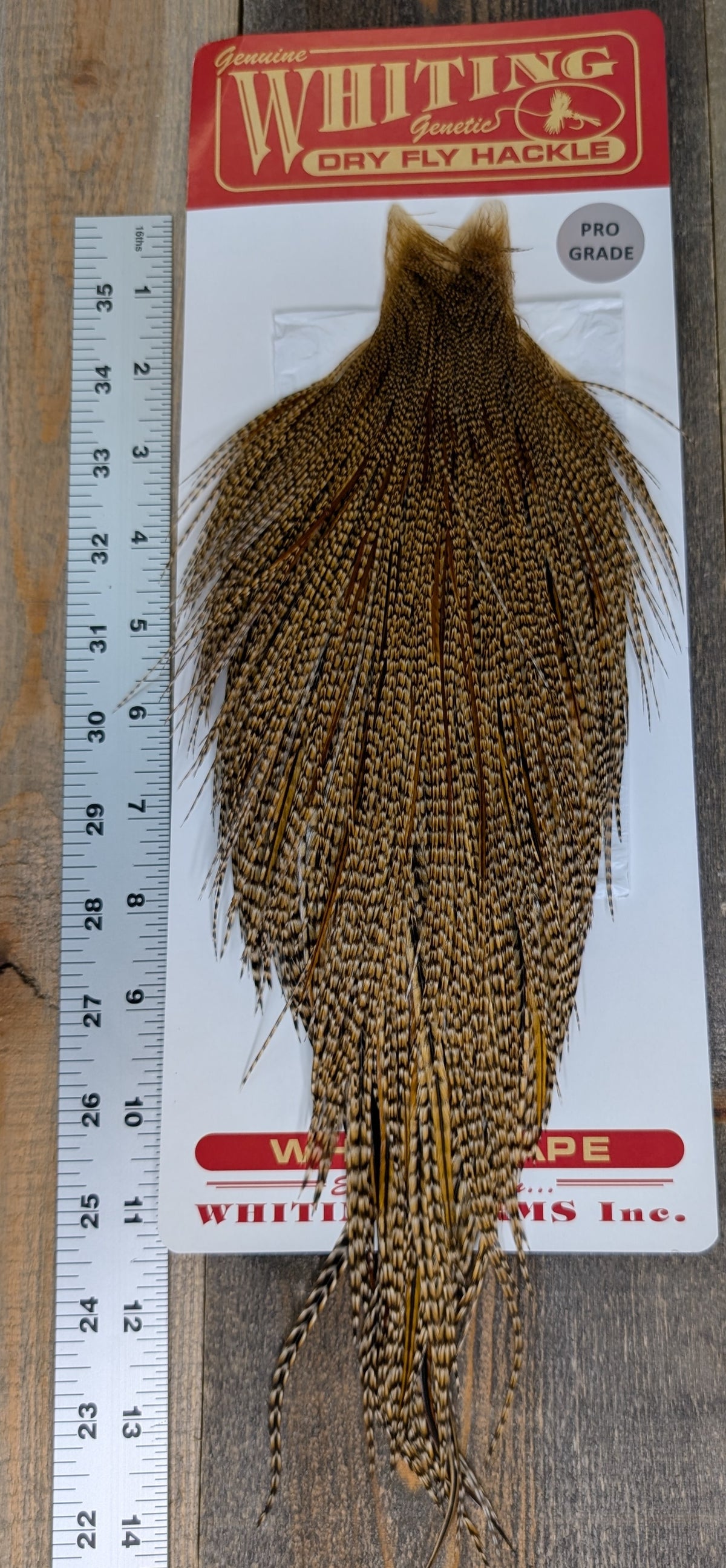 Whiting Pro Grade Cree Cape #33
