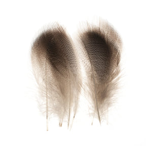 Aqua Flies Bronze Mallard Medium (5 Pair) Duck & Goose Feathers