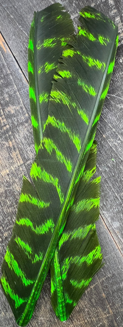 Barred Turkey Biot Quills Caddis Green