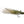 Bisharat's Bubbleicious 2 / Frog Warmwater Flies