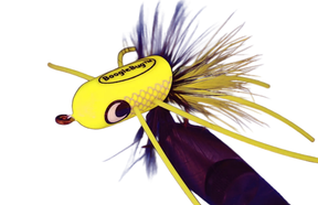 Boogle Bug BoogleBullet Slider Solar Flare / #6 Poppers & Divers
