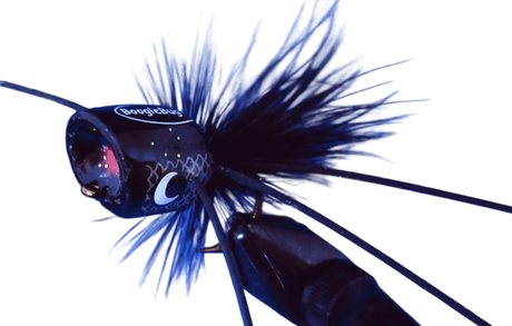 Boogle Bug BooglePopper Black Galaxy / #6 Poppers & Divers
