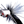 Boogle Bug BooglePopper Pearly White / #6 Poppers & Divers