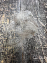 Canada Goose CDC Natural Blue Dun TG Saddle Hackle, Hen Hackle, Asst. Feathers