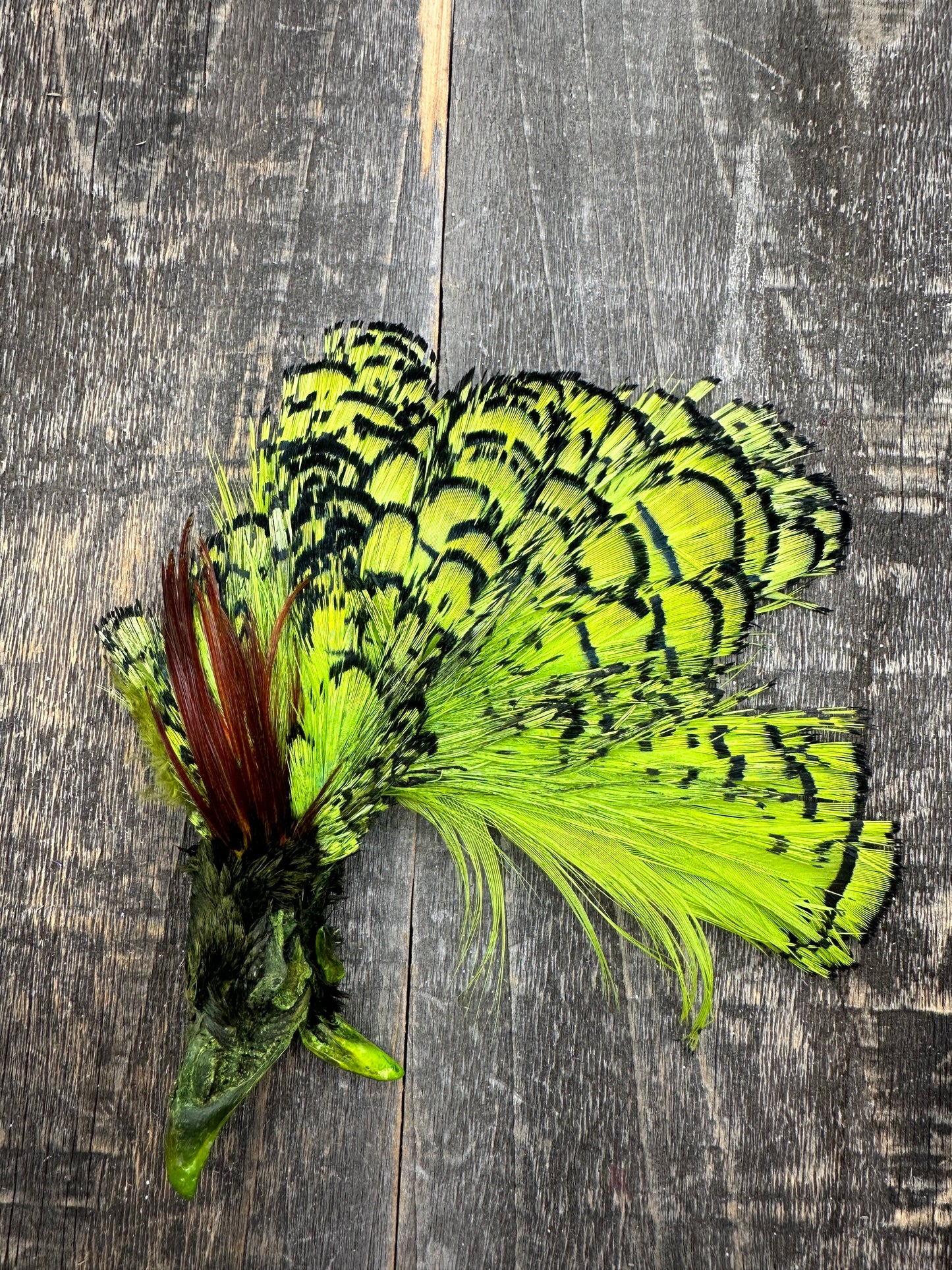 Cascade Crest Amherest Head Fl. Chartreuse Saddle Hackle, Hen Hackle, Asst. Feathers