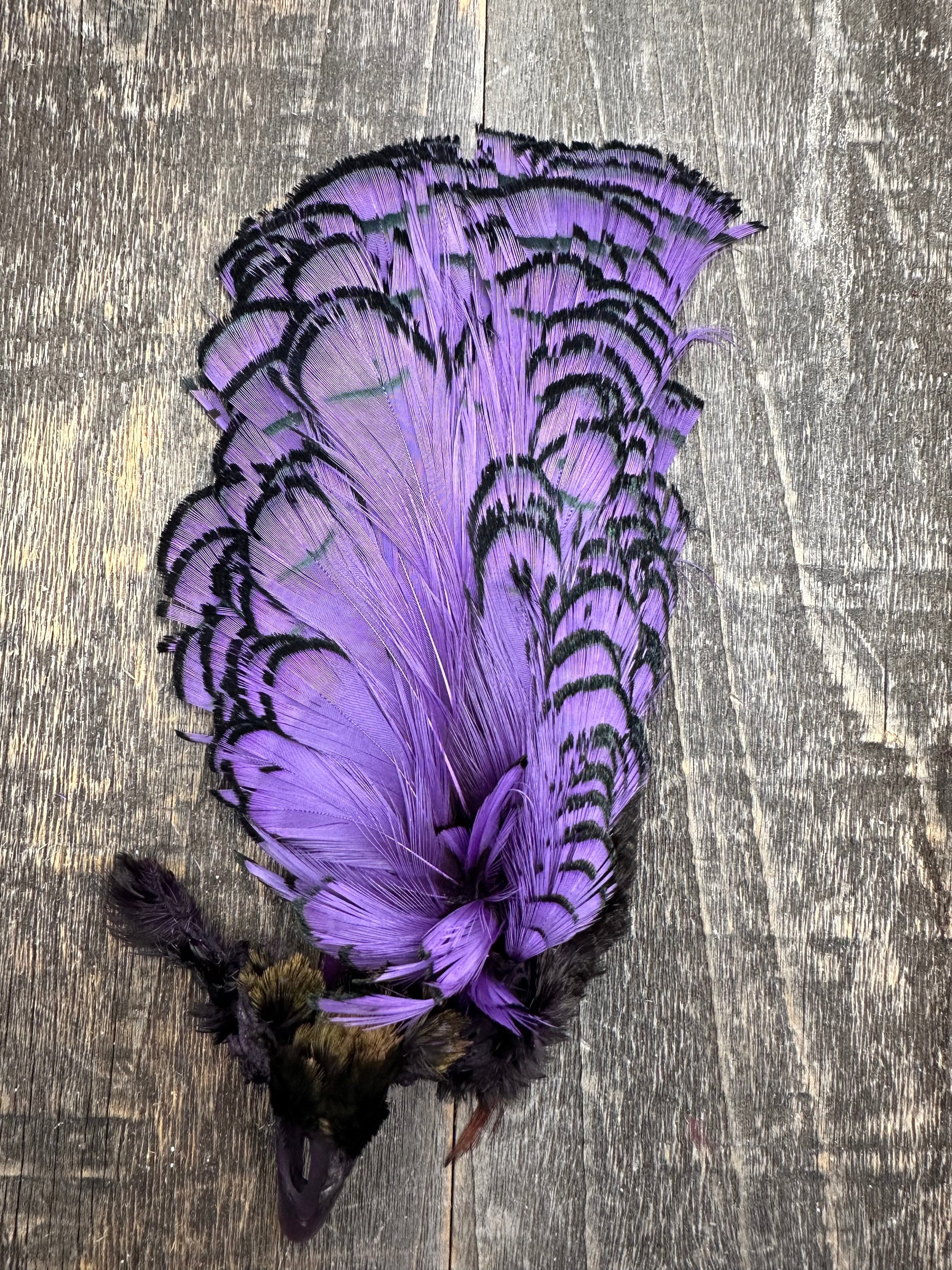 Cascade Crest Amherest Head Fl. Purple Saddle Hackle, Hen Hackle, Asst. Feathers