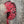 Cascade Crest Amherest Head Red Saddle Hackle, Hen Hackle, Asst. Feathers