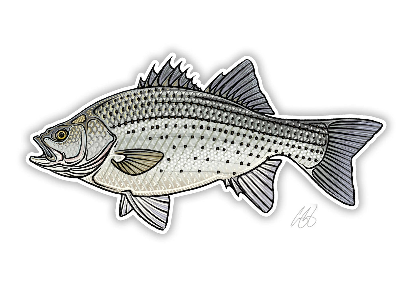 Casey Underwood 5" Sticker White Bass Stickers