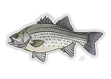 Casey Underwood 5" Sticker White Bass Stickers