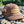 CF Burkheimer Premium Trucker Hat 2 Bar Brown Camo Hats, Gloves, Socks, Belts