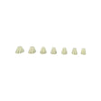 Chocklett Oval Support Disc Kit Beads, Eyes, Coneheads