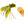 Chocklett's Craw Changer Olive Brown Flies
