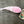 Chocklett's™ Jerk Changer™ Flies