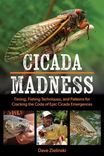 Cicada Madness By Dave Zielinski Books