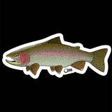 Cling Fishing Decals Rainbow Trout Stickers