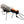 Dancin' Ricky Black / 10 Flies
