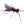 Dancin' Ricky Purple / 10 Flies