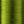 Danville Flat Waxed Thread Olive #263 Threads